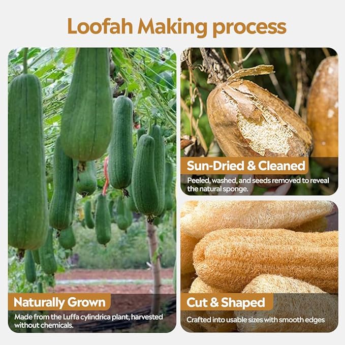Deyga Natural Loofah – Gentle Exfoliating Bath Sponge for Smooth Skin